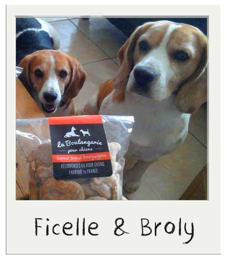 Biscuits pour chiens BIO